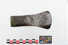 Foto von Eisendechsel (NHMW-PRAE-024328)